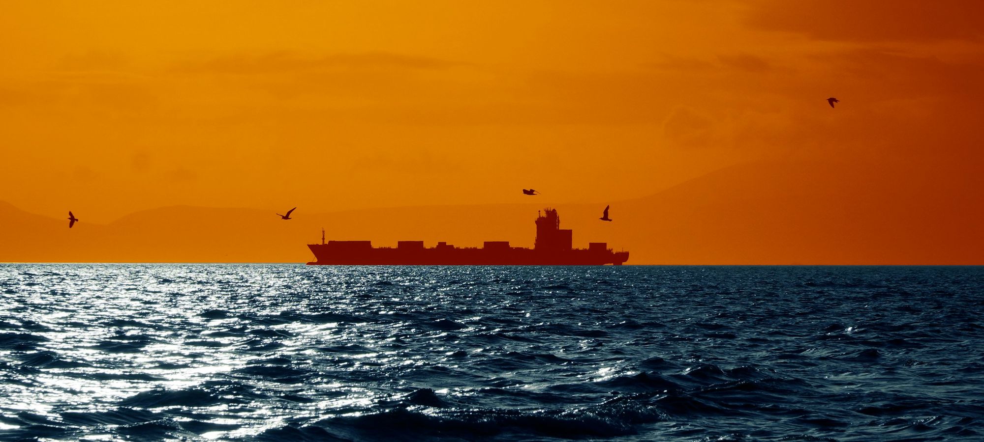A cargo ship on the horizon at sunset